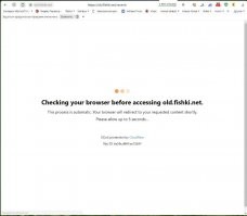 я смотрю на фишках тоже дураки работают, иначе с чего сегодняшнего дня стала мелькать клоудфаровская защита при загрузке страниц
