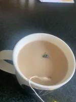 О Боже моооой, о Боже мооой, мухапопала в чаааашку что деееелать?!
вынь и пей спокойно! поколение неженок мля