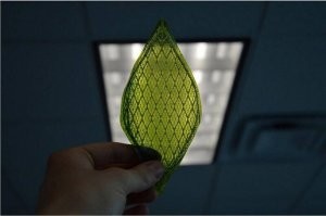 нам для жизни CO2 тоже нужен и если это растение расплодиться, могут быть проблемы.
