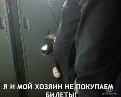 Смешные и познавательные картинки