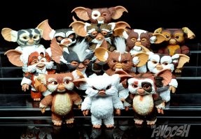 Какие котята, судя по ушам это гремлины