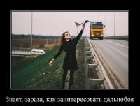 На общую тему