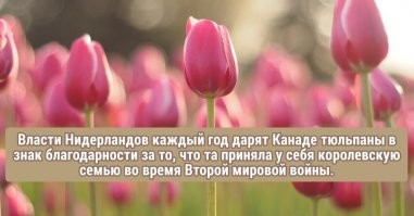 Первая картинка: очень избирательная память, с учетом того, что вся европа забыла, кто ее освобождал от нацизма