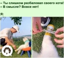 Заходи, улыбнись воскресным утром