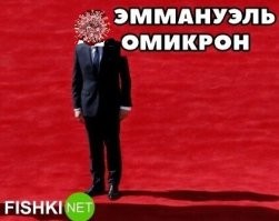 Про Котлету, Микрона и Т9: новая подборка каламбуров и лингвошуток