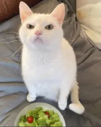 Неполная фотка