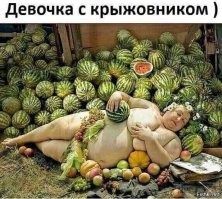 Устал от политики? Заходи, улыбнись