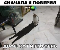 Тень! Знай своё место!