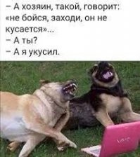 Полезные идеи и советы на все случаи жизни