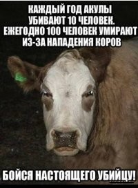 Тут почти всё какая-то экзотика. В наших широтах надо опасаться корову и коня.  Что первая, что второй - весят около 400 кг, и даже с  разбегу, могу нанести серьёзный урон человеческой тушке. Имеют крутые копыта, и умеют ими лягать. (Удар копыта обычной коровы, может перешибить небольшое дерево.. подумайте, что станет с вашей конечностью). Так же у них мощные челюсти и отличные зубы. Могут вырвать из вас кусок мяса, пока вы ещё кричите и не понимаете что делать.
Благо они в большинстве своём очень миролюбивые. (Но не все). Ну, и не надо лишний раз злить или дёргать животное, и даже подходить, если вы пьяный, или в силу обстоятельств от вас пахнет чем-то резким и неприятным для животных. (Да-да, ваш Шанель №5, лошадка может и не оценить).
