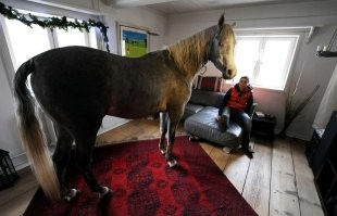 15 милых фотографий знаменитостей и их питомцев