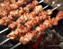 Настойчивый мини-пиг просит кушать