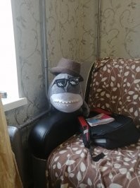 Сын нарядил недавно.