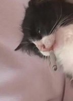 хоть бы сигарету выкинул бы