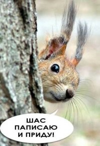 Смешные комментарии из&nbsp;социальных сетей-52