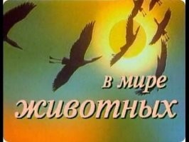 Слишком много замков на пути к туалету