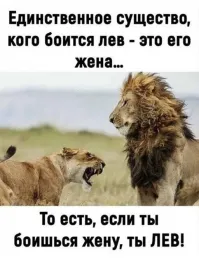 Женщины придумывают сказки о "львах" и многие мужики в них верят. 
 На самом деле - бабы "дают" козлам. 
 Это факт неоспоримый.