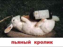 Боги креатива