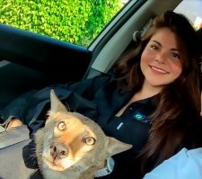 после девки спасшей бездомного, дикого кайта , это уже не поражает!