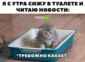 Скрины из соцсетей