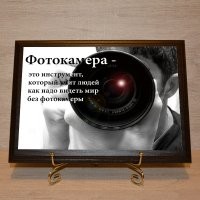 20+ захватывающих кадров из мира природы