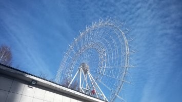 Смешные и познавательные картинки