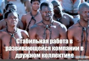Подборка приколов и шуток про негров