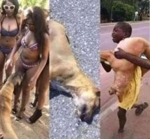 Подборка приколов и шуток про негров