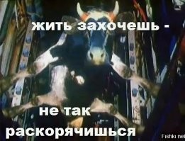 жизнь - гавно, деньги - всё ... жизнью можно рискнуть .. я сам рискую, электрик, часто работаю под напряжением .. так быстрее .. пока только иногда потряхивает .. и на стремянках/лестницах .. в распор .. куда деваться ... "жизнь заставит - не так раскорячится ... "