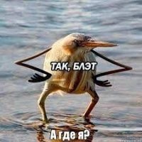 Смешные комментарии из&nbsp;социальных сетей-53
