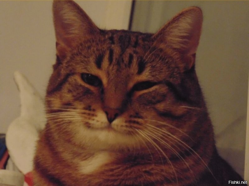 Цвет "синий" есть только в русском языке. А эта панель - голубая. Синий в аглицком - dark blue. И да - привет от "лиги зануд"  )))