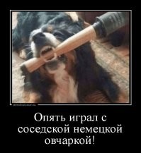 Смешные комментарии из&nbsp;социальных сетей-53
