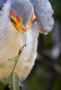 На реснички сходила, теперь - на ноготочки!