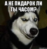Смешные и познавательные картинки