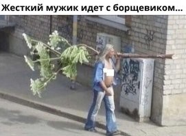 Смешные и познавательные картинки