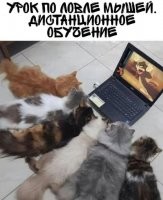 Никогда не нравилась эта версия рисовки мультика