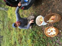 Мои пока не сопротивляться когда я их в 6 утра бужу  и поехали по грибы :) жена сказал ты затрахал всех своей консервацией и тд а кушает это на ура . Хотя когда подливы кушают то только чавканье :) в сливках грибочки да с картошкой :)