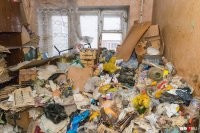 В какой момент старую свалку начали называть коллекцией?
Вот тоже коллекция...