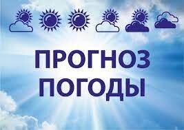гонят фейки каждый день.