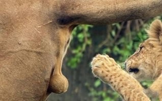 Весенние демотиваторы