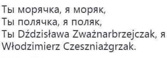 Приключения польских диванных политологов