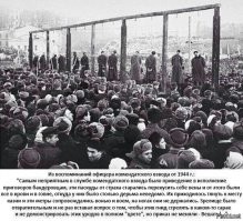 Забором Яйценюха?