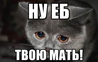 Смешные и познавательные картинки