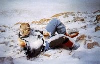 И чай заварить,и мясо сварить можно,только время на это уйдёт немного больше обычного,просто как правило подъём на Эверест заканчивается не так оптимистично,и "чаелюбители" остаются там навсегда.Не спускают их оттуда,особенно добравшихся к вершине и близко к ней,слабо ещё человечество для этого.