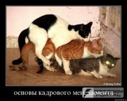 Неприятные сюрпризы и нелепые выходки начальства