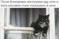 Какой тебе инстаграм, мудила? Иди пунктуацию учи!