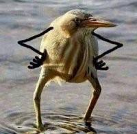 Где, блэт?

В России они даже не шелОхнулись!