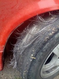 Еще походит