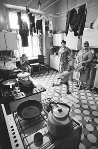 Вот, прикладываю фото вполне типичной коммунальной кухни. Это поновее, чем в статье, но смысл уловить можно. Прекрасно видно плиты и высоеие потолки.  Да и площадь можно оценить.