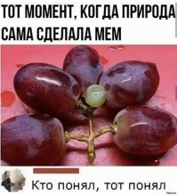 Необычные вещи и явления, за которыми и ходить далеко не надо